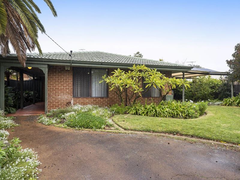 429 Karrinyup Road, Innaloo
