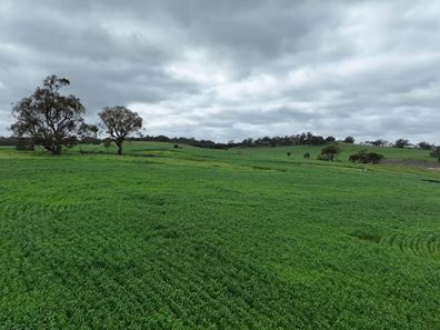 126/ Drumree Drive, Toodyay WA 6566