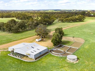 Blackwattle and Russell Road, West Cape Howe, Hay Shed Hill and wineries, Frankland River WA 6396