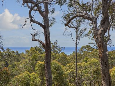 39 Big Rock Place, Quedjinup WA 6281