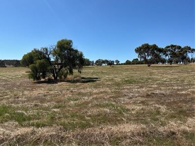 LOT 124 Balgaling Road, Toodyay WA 6566