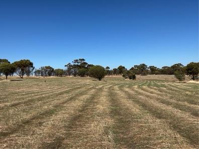 LOT 124 Balgaling Road, Toodyay WA 6566