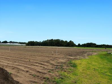 105 Sixty Eight Road, Baldivis WA 6171