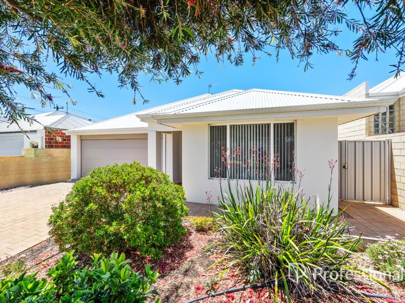 3 Elizabeth Street, Australind