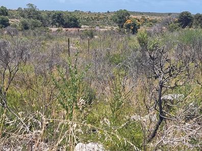 Lot 160,  K.w.  Road, Karakin WA 6044