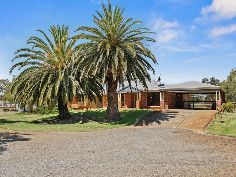 236 Young Road, Baldivis WA 6171