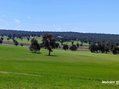 823 (Lot 900) Talbot West Road, Mount Observation WA 6302