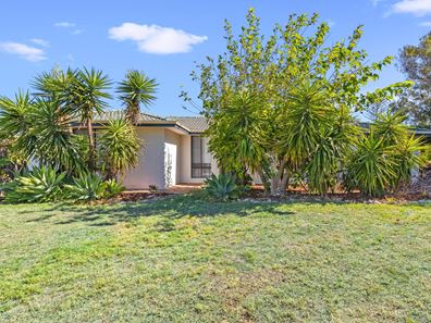 5 Chrisp Place, Yanchep WA 6035