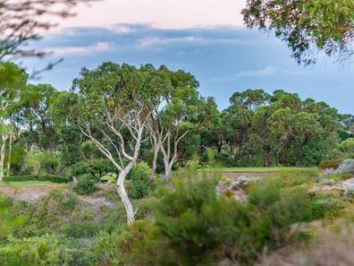 43 Ocean Shores Edge, Connolly WA 6027