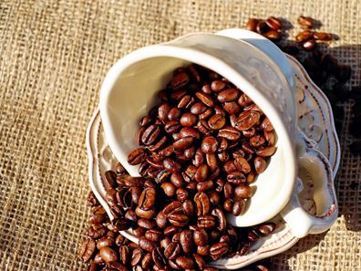 Food/Hospitality - Premium Café Business for Sale