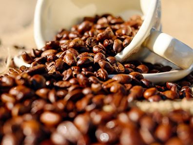 Food/Hospitality - Premium Café Business for Sale