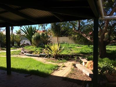 18 Half Moon Drive, Waggrakine WA 6530