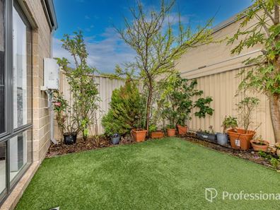 51 Tredegar Street, Butler WA 6036