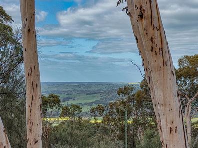 173 Drummondi Drive, Toodyay WA 6566