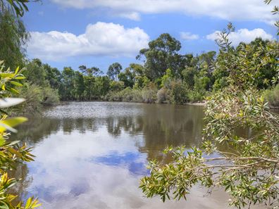 19 Windle Place, Quedjinup WA 6281