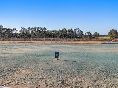17 Ripping Way, Baldivis WA 6171
