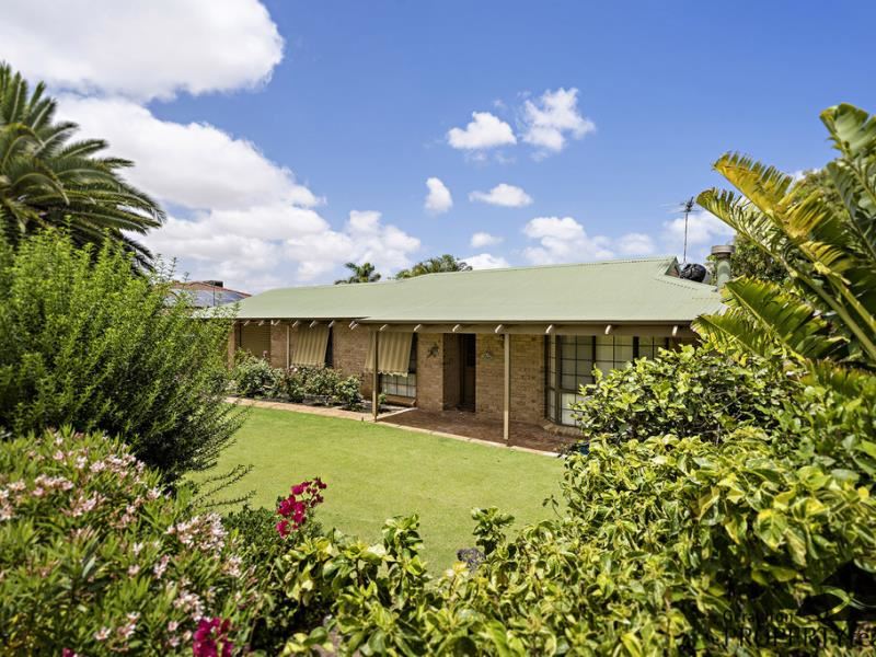 47 Pinyali Way, Waggrakine WA 6530