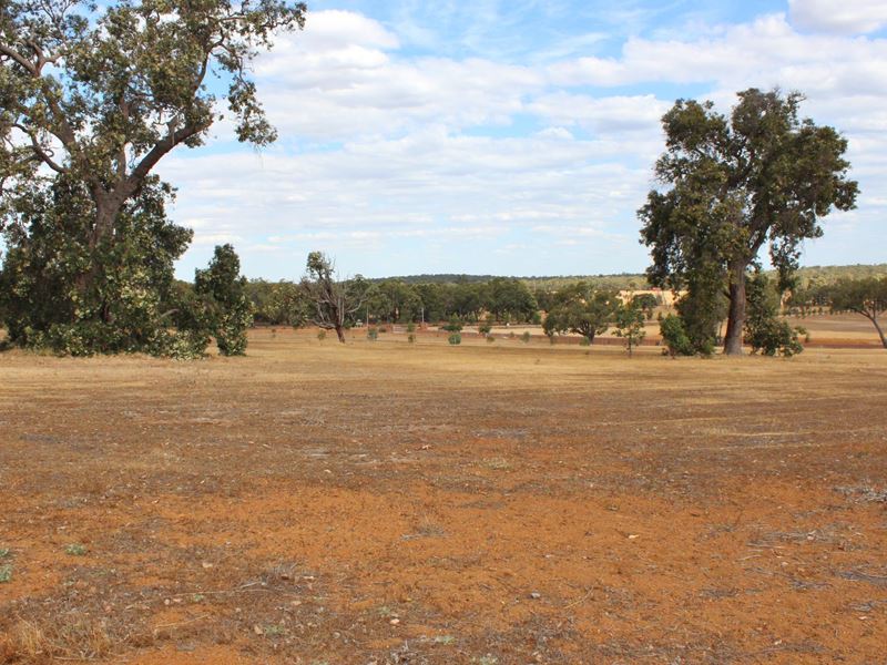 Lot 393 Boolok Ave, Wundowie WA 6560