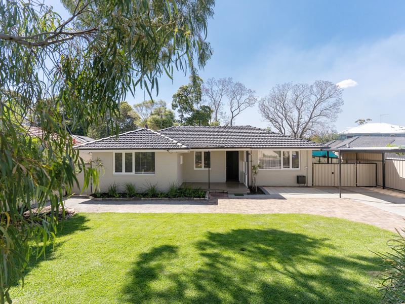 3 Kilmurray Way, Balga WA 6061