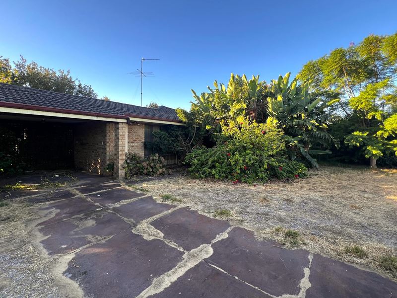 31 Coolibah Avenue, Dudley Park