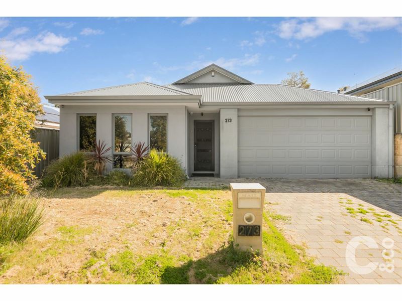 273 Lambeth Circle, Wellard WA 6170