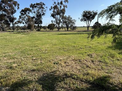 35 Moojebing  Road, Katanning WA 6317