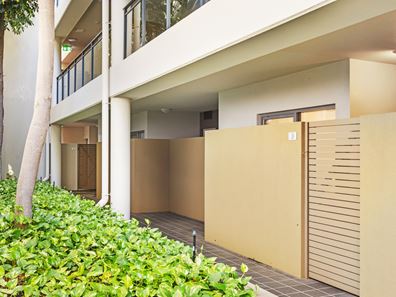 3/33 Hood Street, Subiaco WA 6008