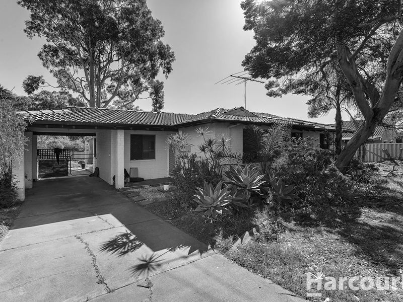 41 Glencoe Parade, Halls Head WA 6210