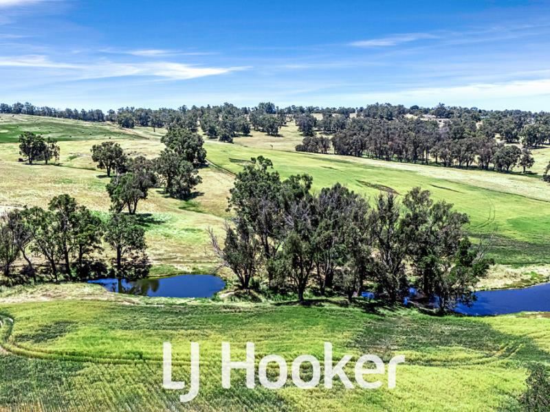 1 on DP 42/ Bridgetown - Boyup Brook Road, Boyup Brook WA 6244