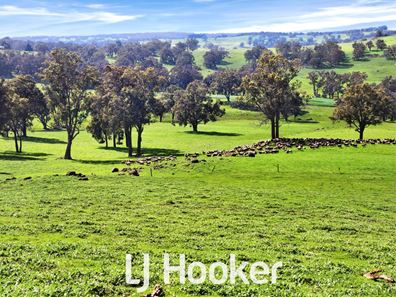 1 on DP 42/ Bridgetown - Boyup Brook Road, Boyup Brook WA 6244