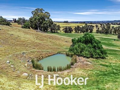 1 on DP 42/ Bridgetown - Boyup Brook Road, Boyup Brook WA 6244