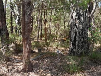 59 Dalton Way, Molloy Island WA 6290