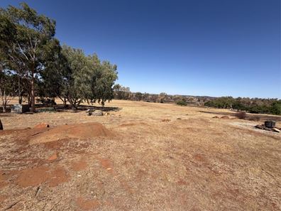 838 Moramockining Road, Wandering WA 6308