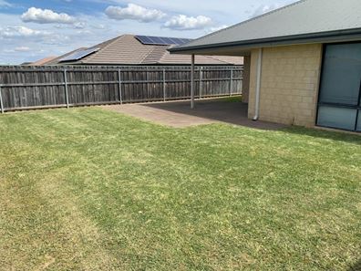 14 Pineroo Terrace, Ellenbrook WA 6069
