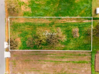 12 Danehill Street, Darling Downs WA 6122