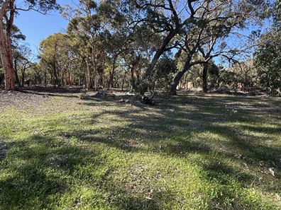 293 Morley Road, Lower Chittering WA 6084