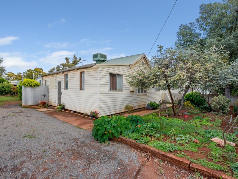 29 Rosenberg Crescent, Kalgoorlie