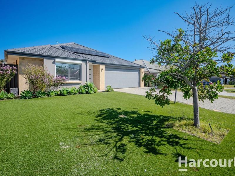 10 Mapleton Drive, Yanchep