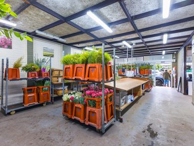 32 Northwood Street, West Leederville WA 6007