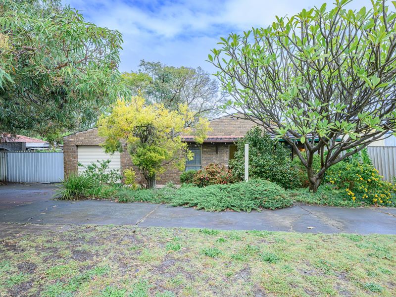 3 Camelia Court, Ferndale WA 6148