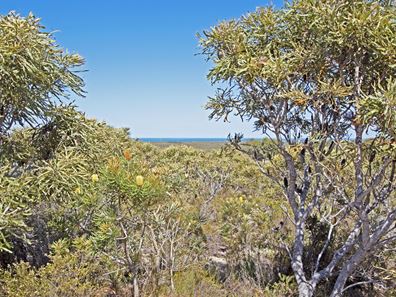 75/71 Flying Foam Way, Jurien Bay WA 6516