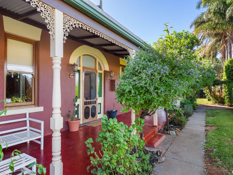 22 Graeme Street, Lamington