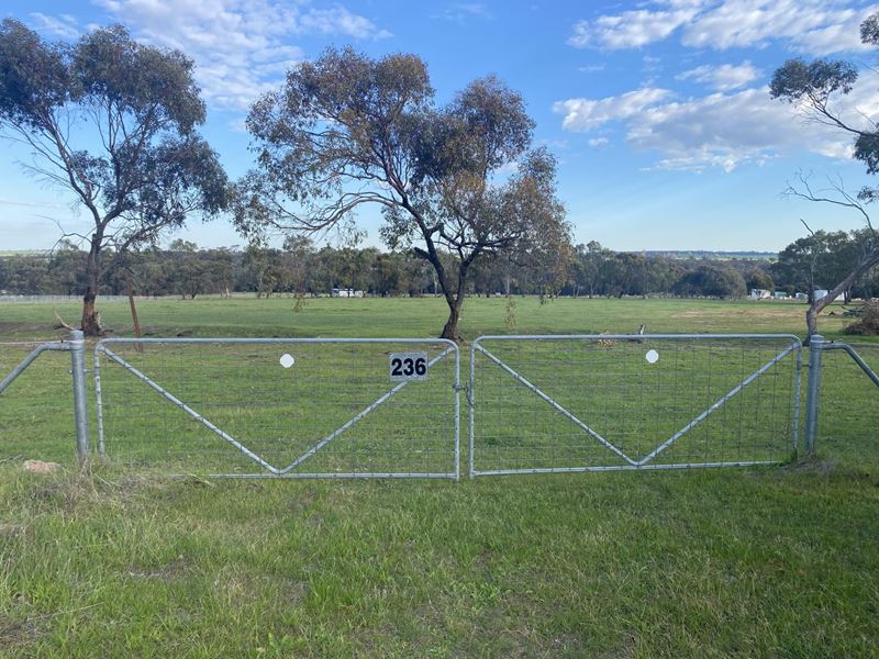 236 Hassell Road, Moojebing