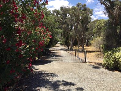 39 Old Dairy Court, Oakford WA 6121