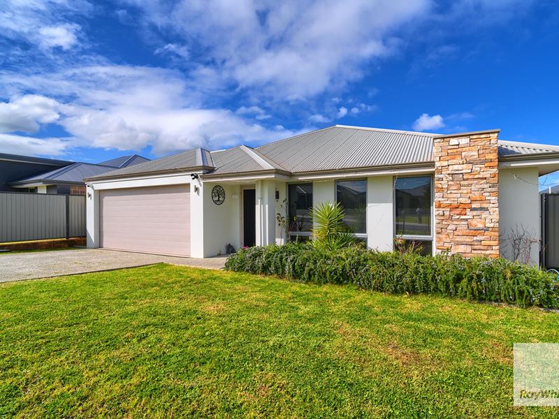 41 Houghton Boulevard, Bayonet Head