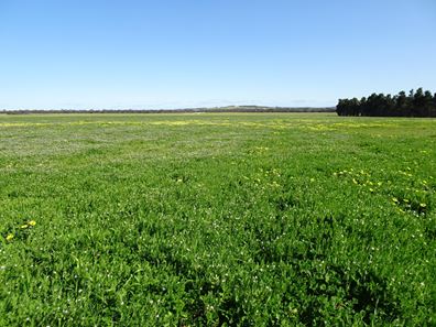 Lot 12520 Great Southern  Highway, Woodanilling WA 6316