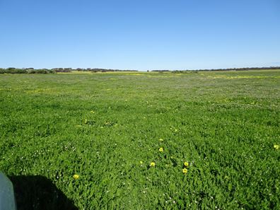 Lot 12520 Great Southern  Highway, Woodanilling WA 6316