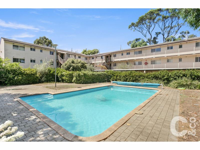 8/15 Pudney Place, Orelia