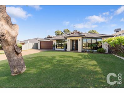 8 Nursling Chase, Wellard WA 6170
