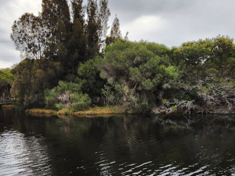 Lot 63, 24 Francis Street, South Bunbury